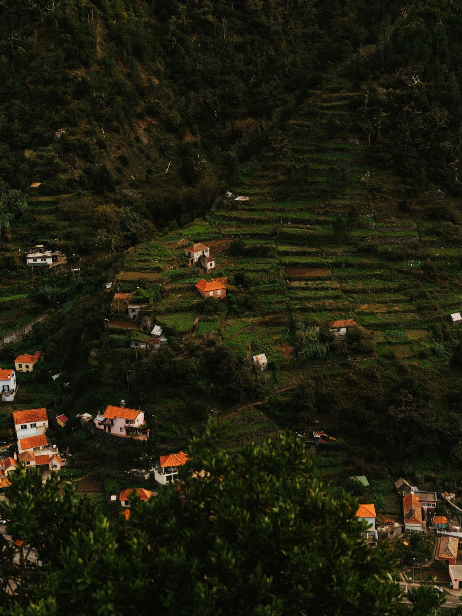 Madeira samochodem - wypożyczenie auta i podróż na własną rękę