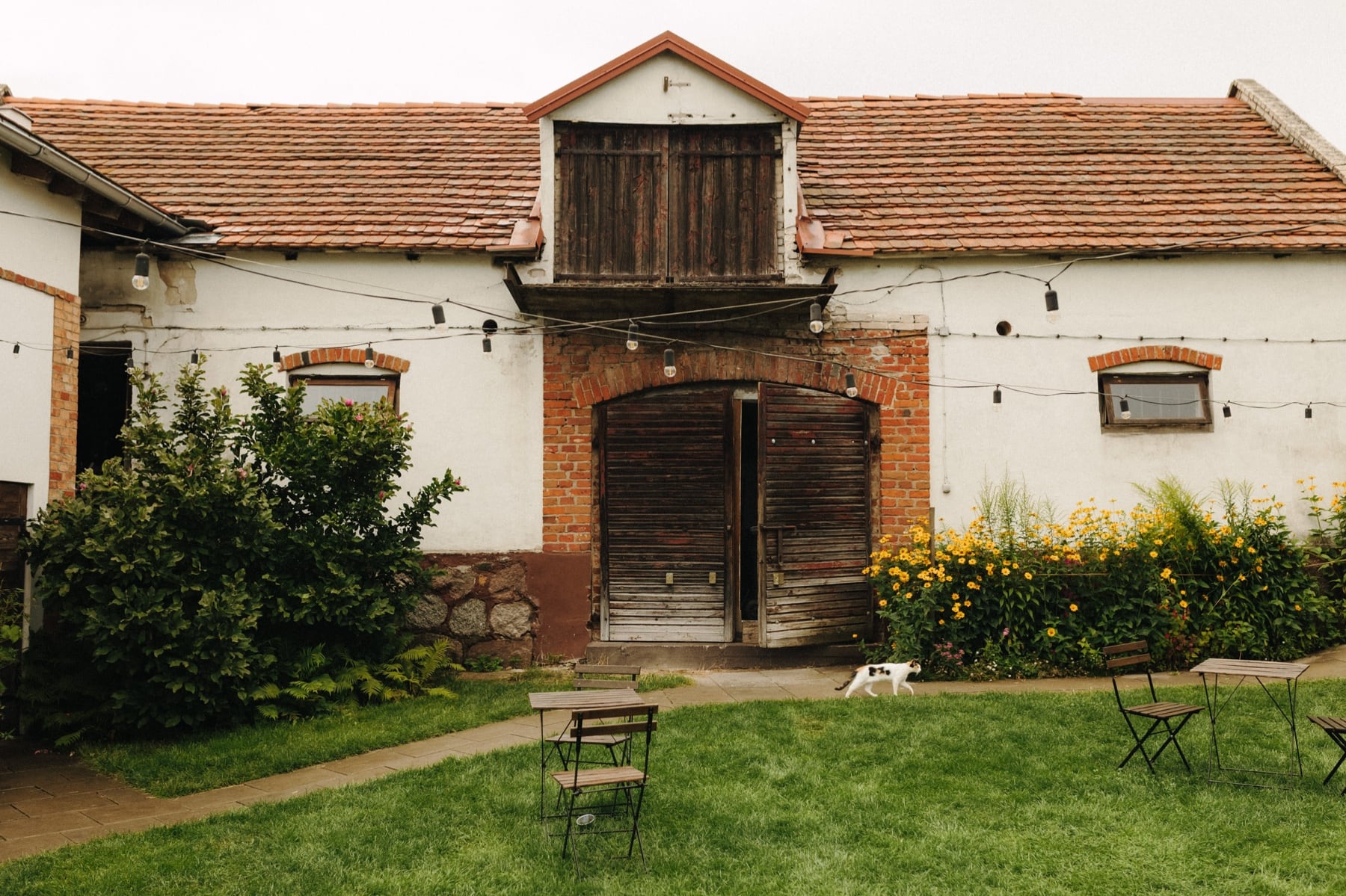 Folwark Ruchenka wesele w stodole