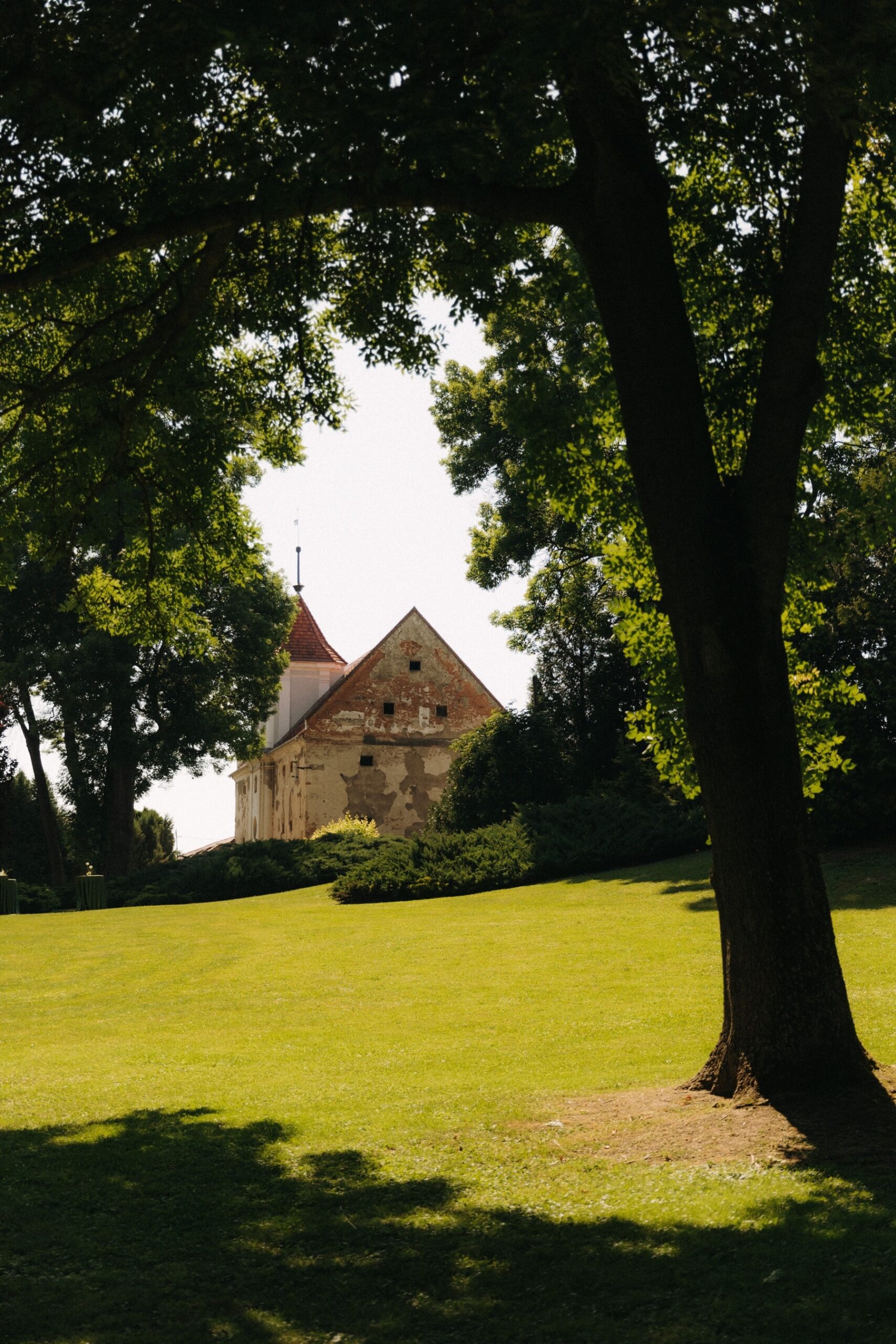 Pałac Konary ślub w plenerze przeworno